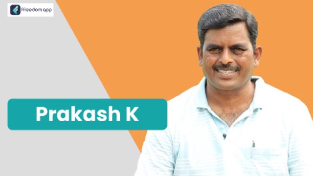Prakash K फ़्रीडम ऐप पर एकीकृत खेती, दूध उत्पादन/डेयरी और साग-सब्जी की खेती के मेंटर है।