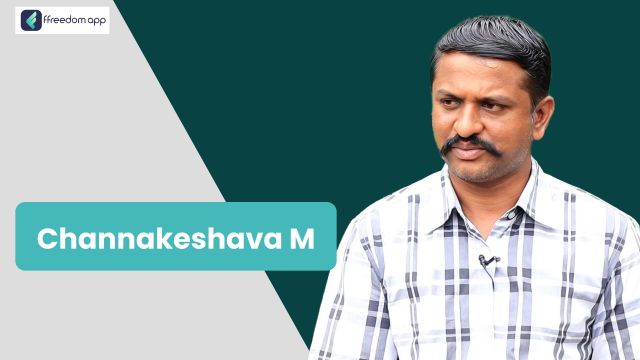 Channakeshava M फ़्रीडम ऐप पर एकीकृत खेती और फल की खेती के मेंटर है।