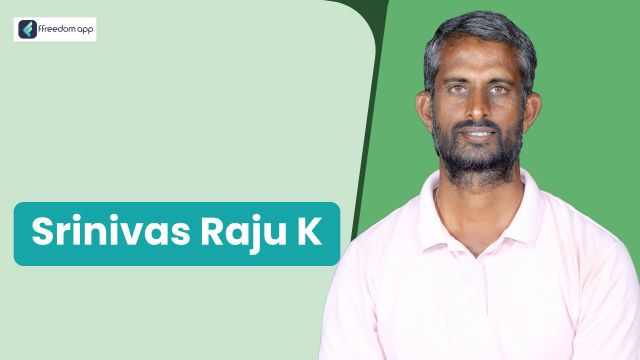 K Srinivasraju is a mentor on Dairy Farming and Agripreneurship on ffreedom app.