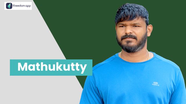 Mathukutty is a mentor on Pig Farming and Retail Business on ffreedom app.