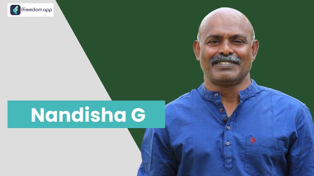 G Nandisha ಇವರು ffreedom app ನಲ್ಲಿ ಕುರಿ ಮತ್ತು ಮೇಕೆ ಸಾಕಣೆ, ಪುಷ್ಪ ಕೃಷಿ ಮತ್ತು ಕೃಷಿ ಬೇಸಿಕ್ಸ್ ನ ಮಾರ್ಗದರ್ಶಕರು