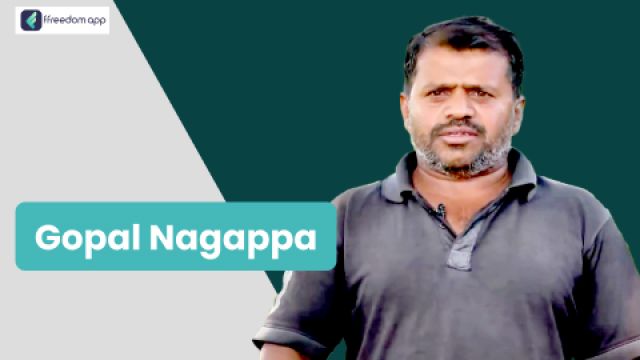 Gopal Nagappa फ़्रीडम ऐप पर एकीकृत खेती, दूध उत्पादन/डेयरी, साग-सब्जी की खेती, फूलों की खेती और खेती की मूल बातें के मेंटर है।