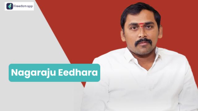 Nagaraju Eedhara फ़्रीडम ऐप पर रेस्टोरेंट और क्लाउड किचन व्यापार और सेवा व्यापार के मेंटर है।