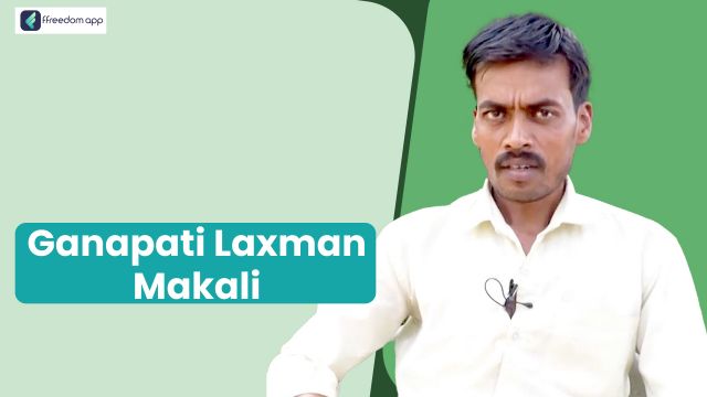 Ganapati Lakshman Makali is a mentor on Integrated Farming, Dairy Farming and Fruit Farming on ffreedom app.