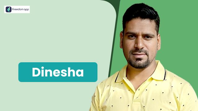 Dinesha फ़्रीडम ऐप पर एकीकृत खेती और पिग फार्मिंग के मेंटर है।