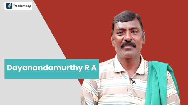Dayanandamurthy R A फ़्रीडम ऐप पर एकीकृत खेती और भेड़-बकरी पालन के मेंटर है।