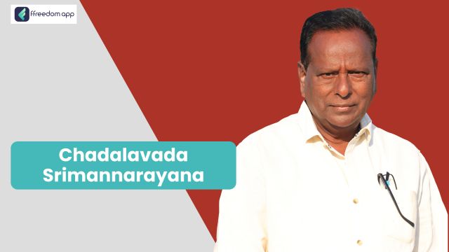 Chadalavada Srimannarayana फ़्रीडम ऐप पर मछली और झींगा पालन के मेंटर है।