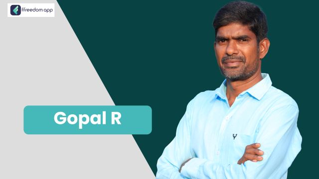 Gopal R फ़्रीडम ऐप पर उत्पादन व्यापार, सेवा व्यापार और रियल एस्टेट व्यापार के मेंटर है।