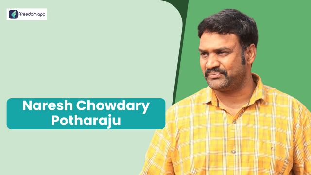 Naresh Chowdary Potharaju is a mentor on Honey Bee Farming, Home Based Business, Retail Business and Agripreneurship on ffreedom app.