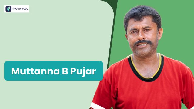 Muttanna B Pujar is a mentor on Integrated Farming, Basics of Farming and Fruit Farming on ffreedom app.