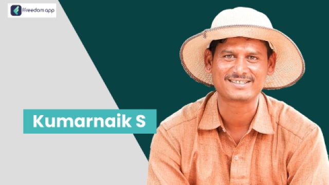 Kumar Naik S फ़्रीडम ऐप पर एकीकृत खेती, साग-सब्जी की खेती और फल की खेती के मेंटर है।