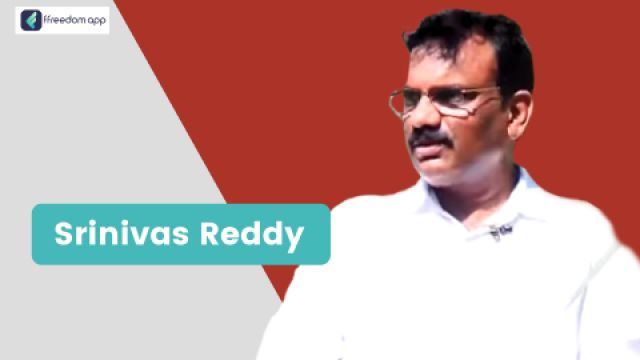 Srinivas reddy फ़्रीडम ऐप पर फल की खेती के मेंटर है।