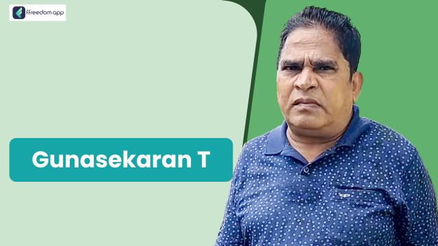 Gunasekaran is a mentor on Fish & Prawns Farming, Poultry Farming and Smart Farming on ffreedom app.