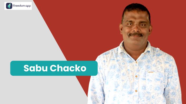 Sabu Chacko is a mentor on Home Based Business and Travel & Logistics Business on ffreedom app.