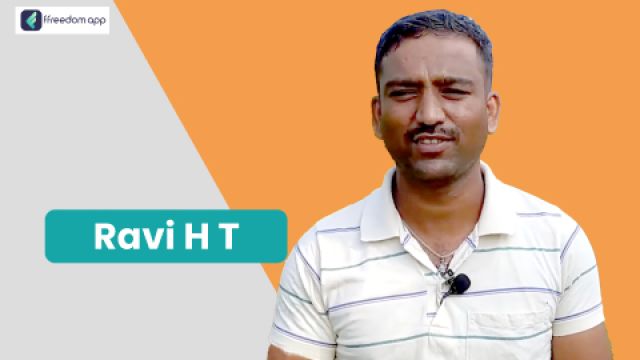 Ravi H T फ़्रीडम ऐप पर एकीकृत खेती, साग-सब्जी की खेती और फूलों की खेती के मेंटर है।