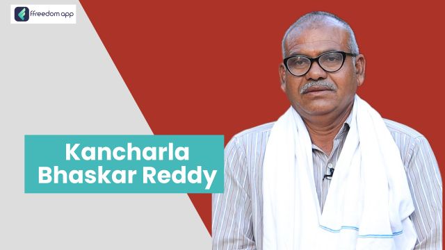 Kancharla Phaneendar Bhaskar Reddy ಇವರು ffreedom app ನಲ್ಲಿ ಜೇನು ಕೃಷಿ, ಕೃಷಿ ಬೇಸಿಕ್ಸ್ ಮತ್ತು ಹಣ್ಣಿನ ಕೃಷಿ ನ ಮಾರ್ಗದರ್ಶಕರು