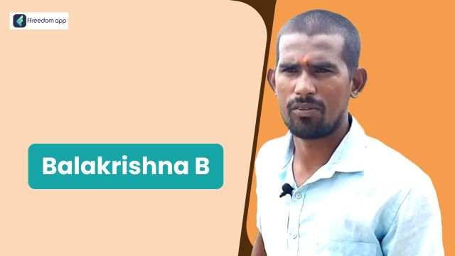 Bangaru Balakrishna फ़्रीडम ऐप पर मछली और झींगा पालन और मुर्गी पालन के मेंटर है।