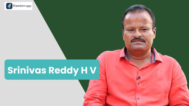 Srinivasa Reddy H V फ़्रीडम ऐप पर खेती की मूल बातें और फल की खेती के मेंटर है।