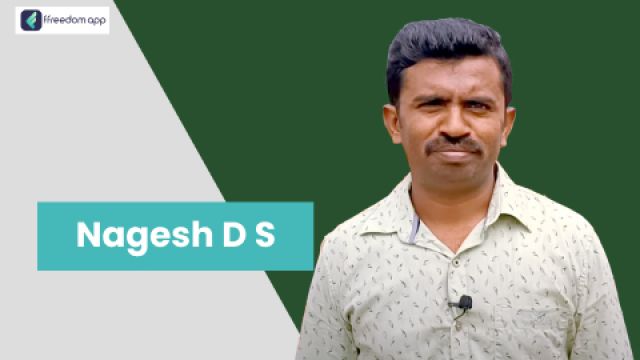 Nagesh D S ಇವರು ffreedom app ನಲ್ಲಿ ತರಕಾರಿ ಕೃಷಿ, ಪುಷ್ಪ ಕೃಷಿ ಮತ್ತು ಹಣ್ಣಿನ ಕೃಷಿ ನ ಮಾರ್ಗದರ್ಶಕರು
