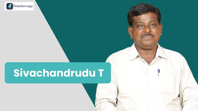 T. Siva Chandru ಇವರು ffreedom app ನಲ್ಲಿ ಹಣ್ಣಿನ ಕೃಷಿ ನ ಮಾರ್ಗದರ್ಶಕರು