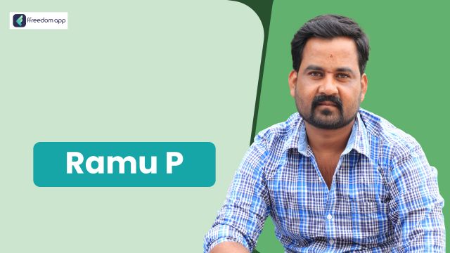 Ramu P ಇವರು ffreedom app ನಲ್ಲಿ ಮೀನು ಮತ್ತು ಸಿಗಡಿ ಕೃಷಿ ನ ಮಾರ್ಗದರ್ಶಕರು