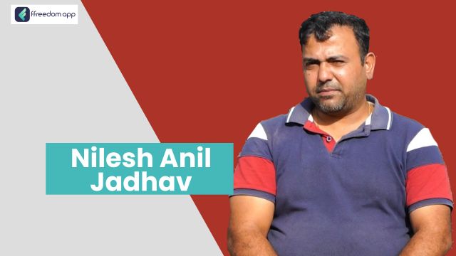 Nilesh Anil Jadhav फ़्रीडम ऐप पर दूध उत्पादन/डेयरी, भेड़-बकरी पालन और खेती की मूल बातें के मेंटर है।