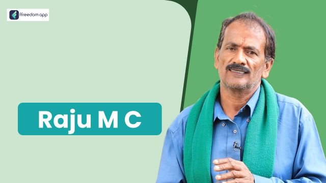 M C Raju फ़्रीडम ऐप पर एकीकृत खेती, खेती की मूल बातें और फल की खेती के मेंटर है।