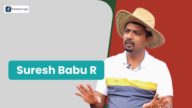 Suresh Babu R ಇವರು ffreedom app ನಲ್ಲಿ ಸಮಗ್ರ ಕೃಷಿ, ಮೀನು ಮತ್ತು ಸಿಗಡಿ ಕೃಷಿ, ಕೋಳಿ ಸಾಕಣೆ ಮತ್ತು ಕುರಿ ಮತ್ತು ಮೇಕೆ ಸಾಕಣೆ ನ ಮಾರ್ಗದರ್ಶಕರು