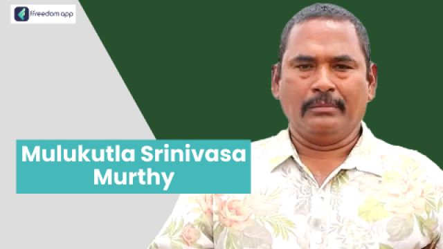 Mulukutla Srinivasa Murthy फ़्रीडम ऐप पर एकीकृत खेती, सेवा व्यापार और खेती की मूल बातें के मेंटर है।