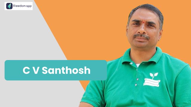 C V Santhosh is a mentor on Integrated Farming, Vegetables Farming, Smart Farming and Basics of Farming on ffreedom app.