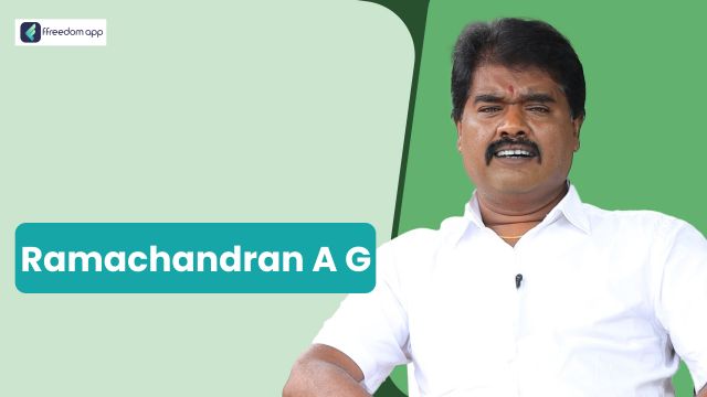 Ramachandran A G फ़्रीडम ऐप पर दूध उत्पादन/डेयरी, मुर्गी पालन, भेड़-बकरी पालन, साग-सब्जी की खेती और फूलों की खेती के मेंटर है।