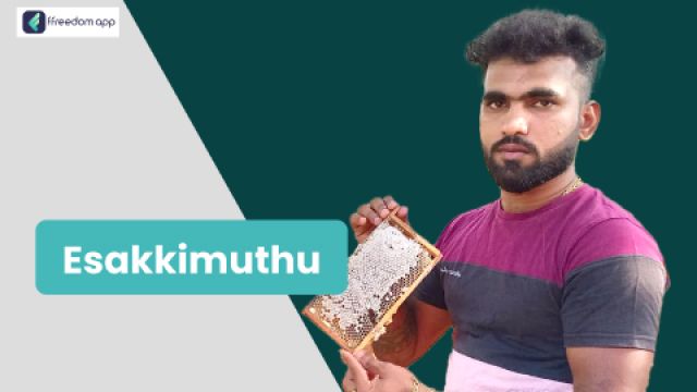 Esakkimuthu ಇವರು ffreedom app ನಲ್ಲಿ ಜೇನು ಕೃಷಿ ನ ಮಾರ್ಗದರ್ಶಕರು