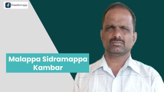 Malappa  Kambar ಇವರು ffreedom app ನಲ್ಲಿ ಮೀನು ಮತ್ತು ಸಿಗಡಿ ಕೃಷಿ, ಹೈನುಗಾರಿಕೆ ಮತ್ತು ಹಣ್ಣಿನ ಕೃಷಿ ನ ಮಾರ್ಗದರ್ಶಕರು