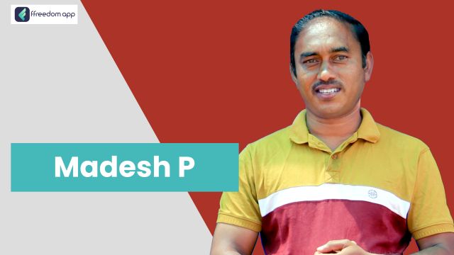 Madesh P is a mentor on Fish & Prawns Farming on ffreedom app.