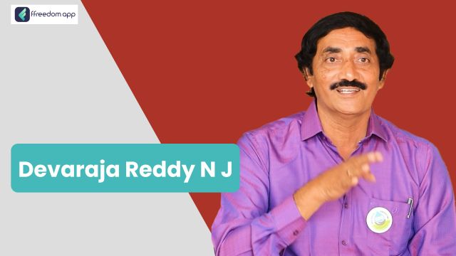Devaraja Reddy N J फ़्रीडम ऐप पर खेती की मूल बातें और सेवा व्यापार के मेंटर है।