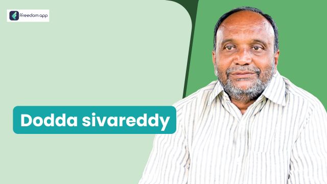 Dodda sivareddy ಇವರು ffreedom app ನಲ್ಲಿ ಮೀನು ಮತ್ತು ಸಿಗಡಿ ಕೃಷಿ ಮತ್ತು ಹಣ್ಣಿನ ಕೃಷಿ ನ ಮಾರ್ಗದರ್ಶಕರು