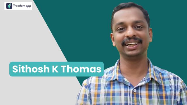 Sithosh K Thomas is a mentor on Basics of Business and Digital Creator Business on ffreedom app.