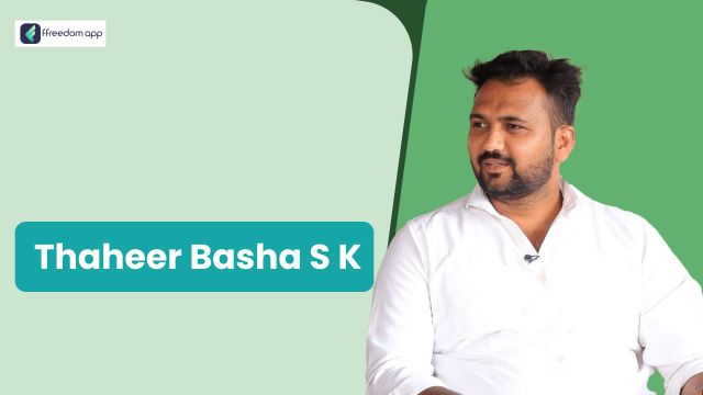Shaik Kuchir Thaheer Basha फ़्रीडम ऐप पर भेड़-बकरी पालन के मेंटर है।