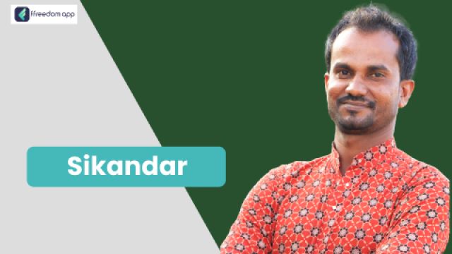 SIKANDR BAKS SAMEJA is a mentor on  on ffreedom app.