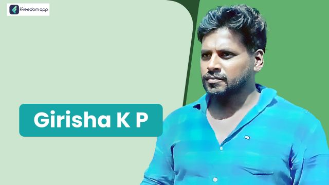 Girisha K P फ़्रीडम ऐप पर दूध उत्पादन/डेयरी, पिग फार्मिंग, मुर्गी पालन, खुदरा व्यापार और सेवा व्यापार के मेंटर है।