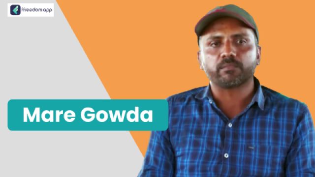 Mare Gowda is a mentor on Sheep & Goat Farming and Smart Farming on ffreedom app.