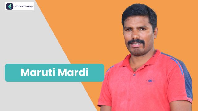 Maruti Mardi என்பவர் கோழி பண்ணை மற்றும் செம்மறியாடு மற்றும் வெள்ளாடு பண்ணை ffreedom app-ன் வழிகாட்டி