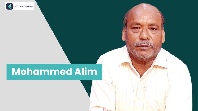 Mohammed Alim फ़्रीडम ऐप पर सेवा व्यापार के मेंटर है।