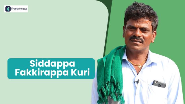 Siddappa Fakkirappa Kuri फ़्रीडम ऐप पर एकीकृत खेती के मेंटर है।