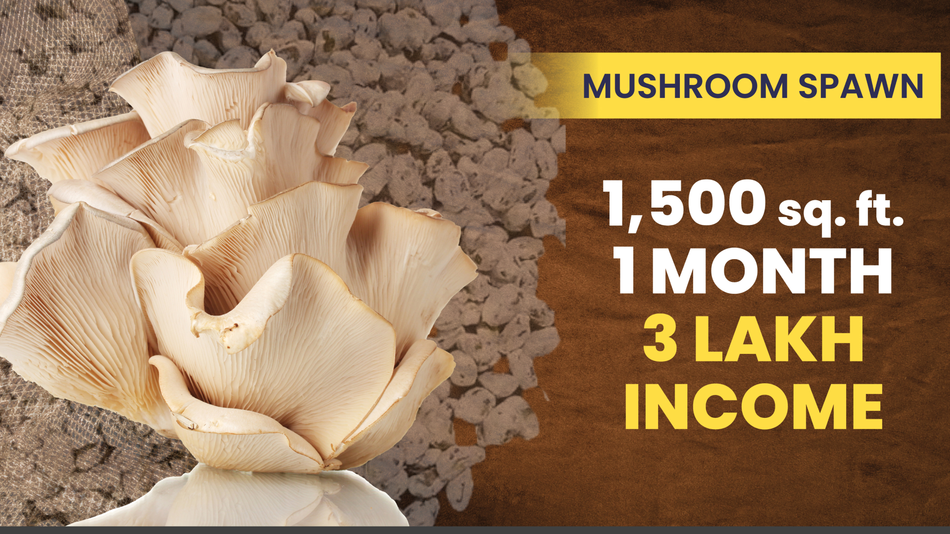 Course Trailer: Mushroom Spawn Production: Earn ₹3 lakh monthly in 1,500 sq ft. Watch to know more.