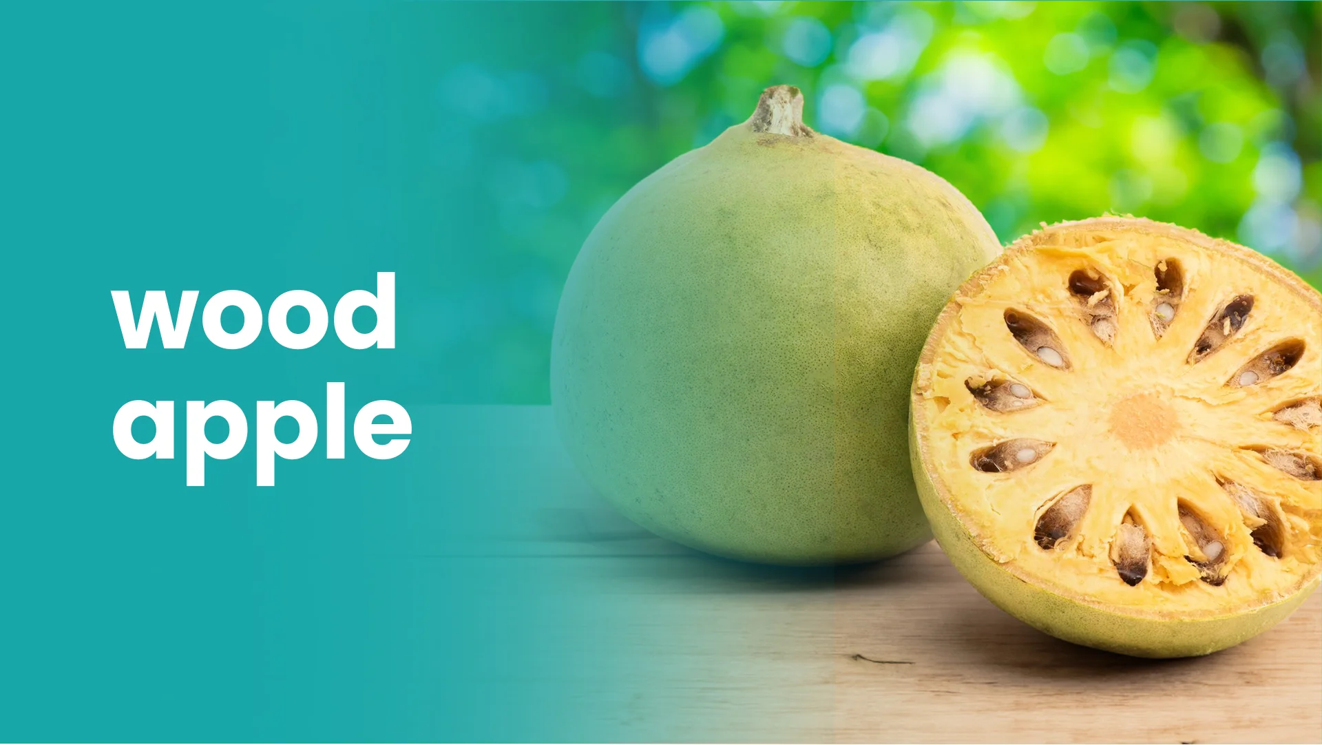 Course Trailer: Wood Apple Farming Course - Earn 3 lakh/acre. Watch to know more.