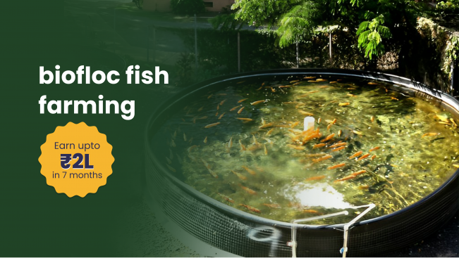 Course Trailer: Biofloc Tilapia Fish Farming Course - Earn 2 lakh in 7 months. Watch to know more.