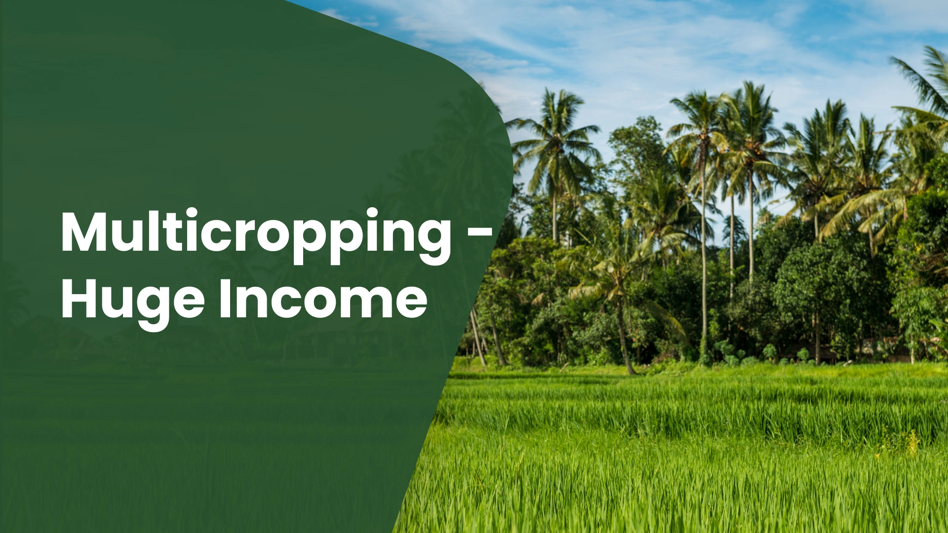 Course Trailer: Multi-Crop Farming Course - Diversify your agricultural income!. Watch to know more.