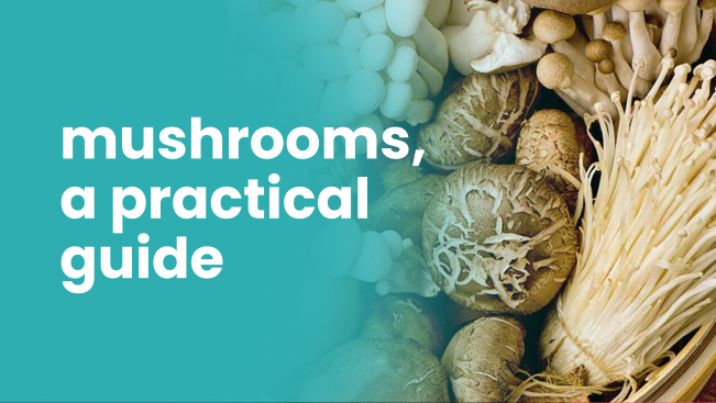 Course Trailer: Start with Rs 10K & make Rs 3 Lakh with Mushroom farming. Watch to know more.