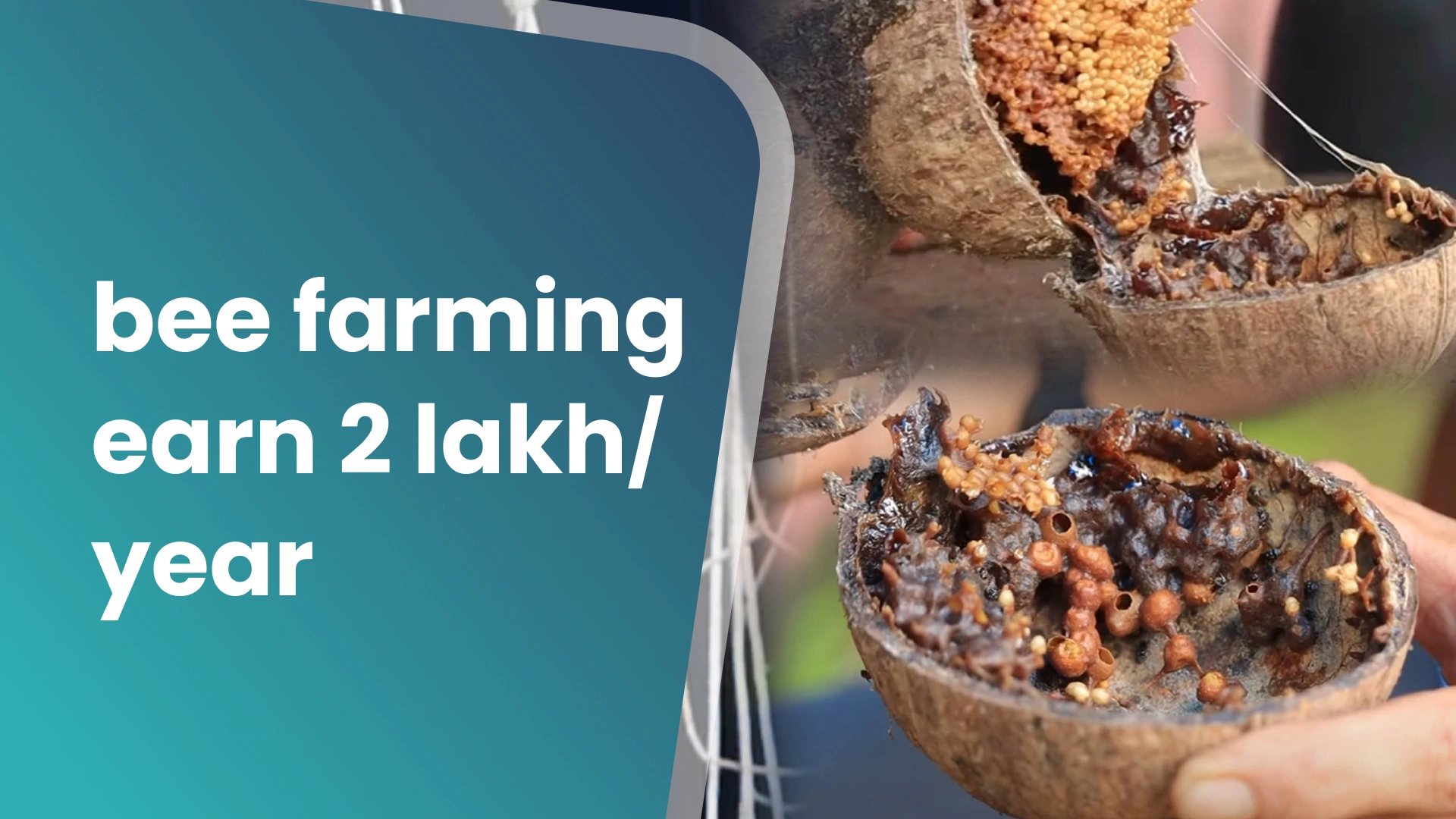 Course Trailer: Stingless Bee Farming Course - Earn up to 2 lakh/year from 150 boxes. Watch to know more.